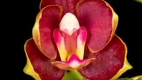 GOD'S PROVISION IN LIFE'S STORMS - DAILY DEVOTIONAL ❤️