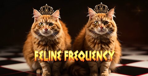 Feline Frequency | Pachats, 2 Ginger Watchers