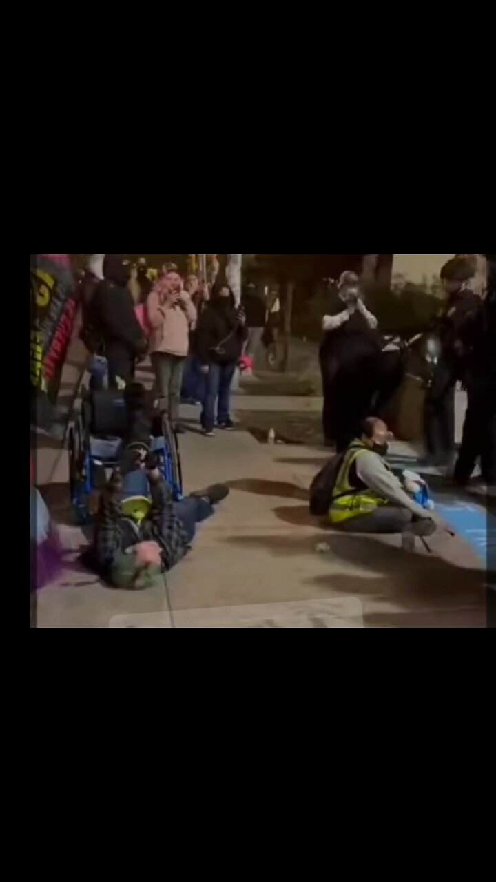 ICE forcibly remove woman in wheelchair—pick up & blind man and drop him down on concrete wall.