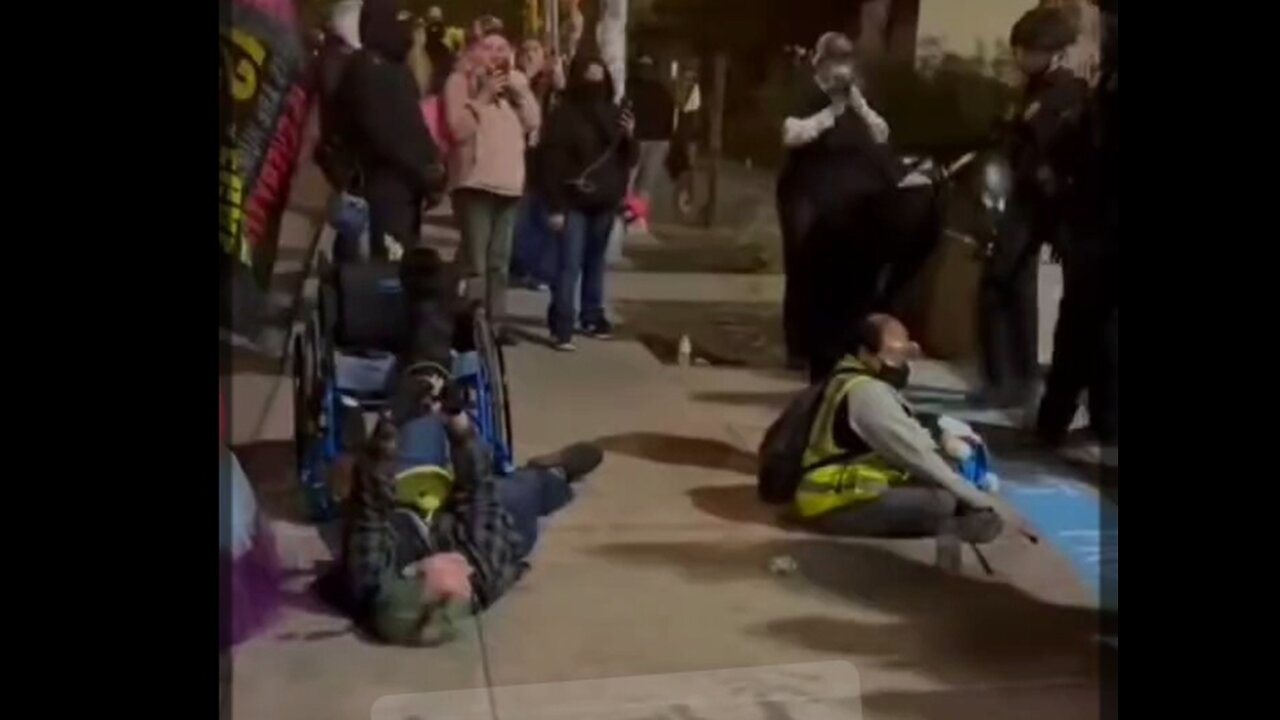 ICE forcibly remove woman in wheelchair—pick up & blind man and drop him down on concrete wall.