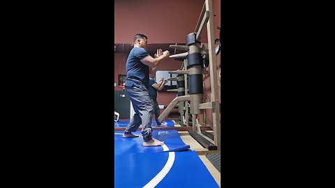 WTD Wooden Dummy Combination 24