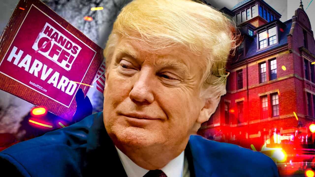 Trump’s Harvard TAKEDOWN Ignites Midterm PANIC Across the Left!!!
