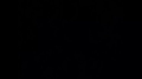 Chasing the Dream Car Grind