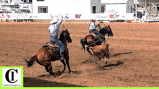 12.5 Team Roping 3rd Go - 2024 Spicer Gripp Memorial Roping
