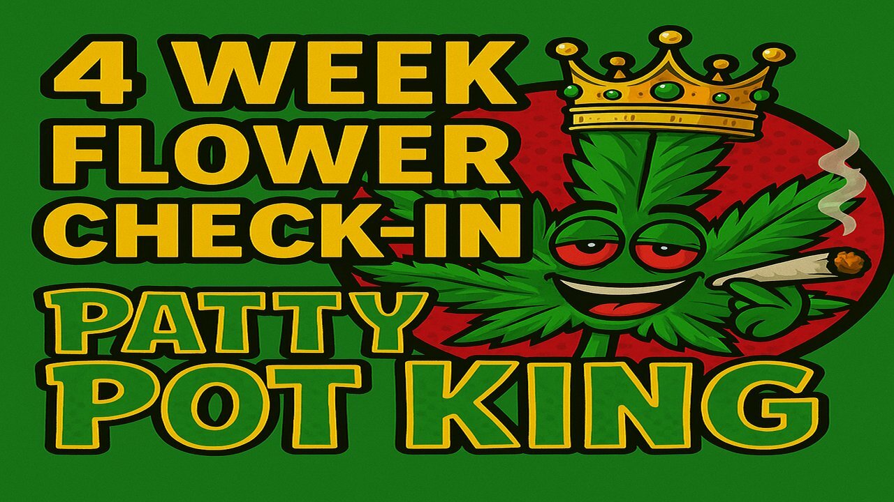 Fourth Week of Flower 🌸 | Canopy Tight, Training Locked 🔥