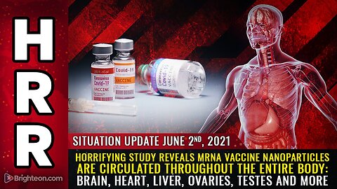 "Study Reveals mRNA Vaccine Nanoparticles Circulate Throughout Entire Body"