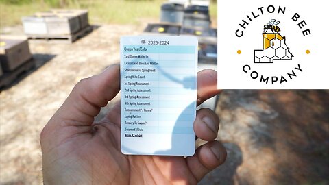 Grading Queens And Using Hive Cards