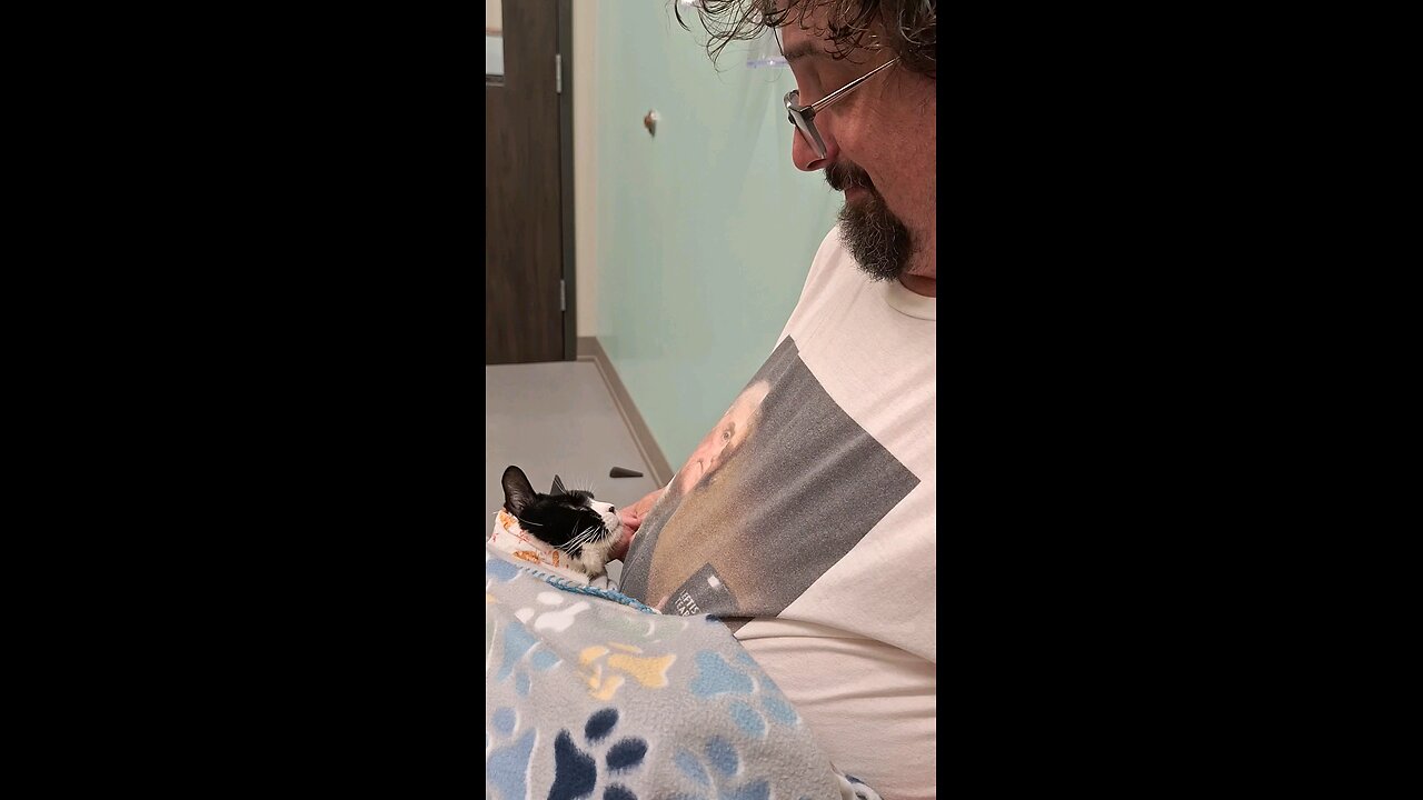 Petting my kitty