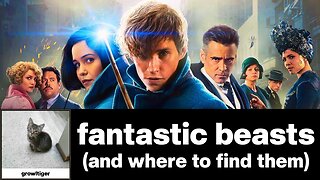 Fantastic Beasts and Where to Find Them - James Newton Howard