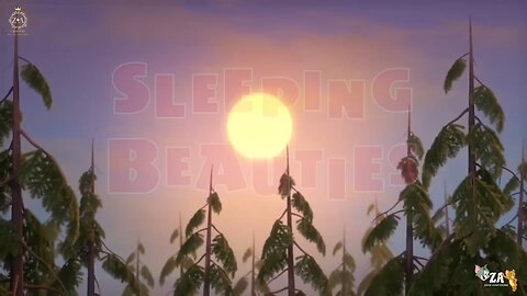 Masha and Bear Cartoons