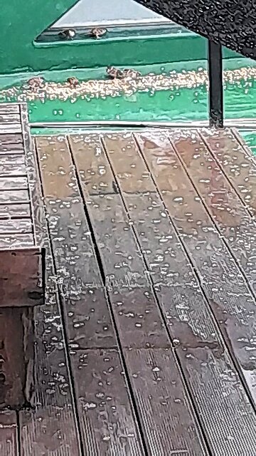 20251127. God made the world.