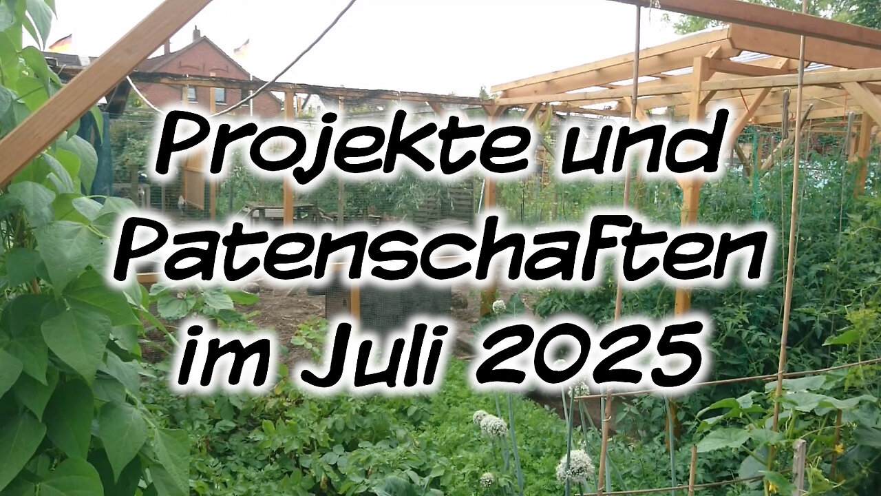 Projekte und Patenschaften im Juli 2025