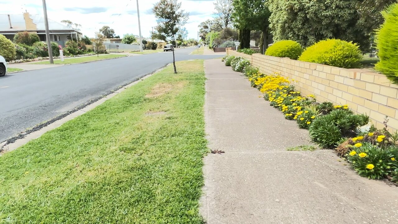 The terrible hurricane has gone away, let's go for a walk...