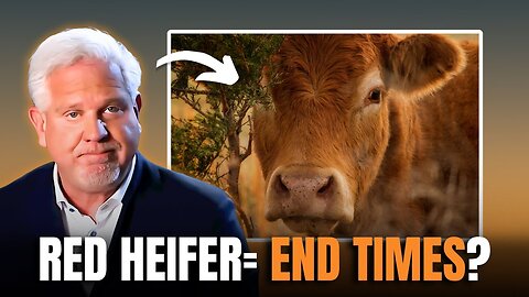 The "Red Heifer Prophecy" Explained and What Happens if it Occurs?