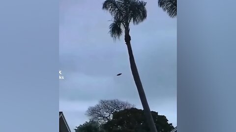UFO Filmed over Orlando, Florida