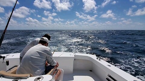 yellow fin tuna in Nags Head Outer Banks