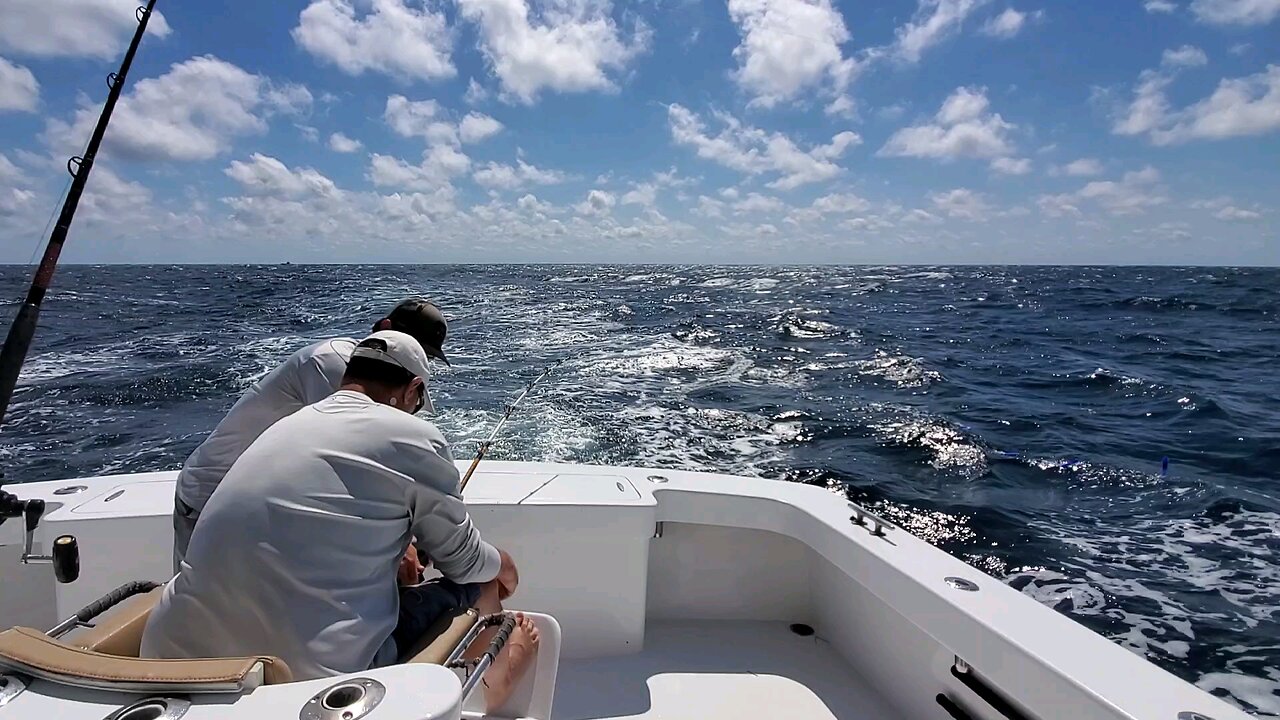 yellow fin tuna in Nags Head Outer Banks