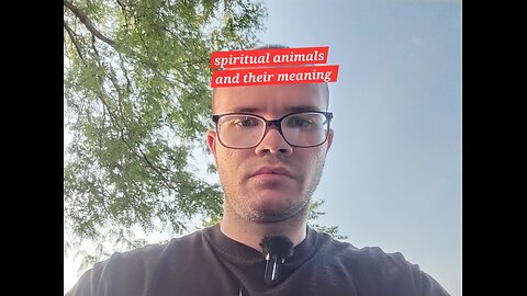 spiritual animals and their meanings
