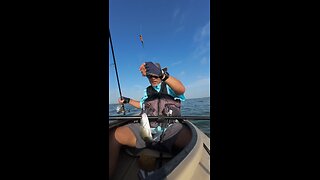 Slab and Jig Rigs and More!