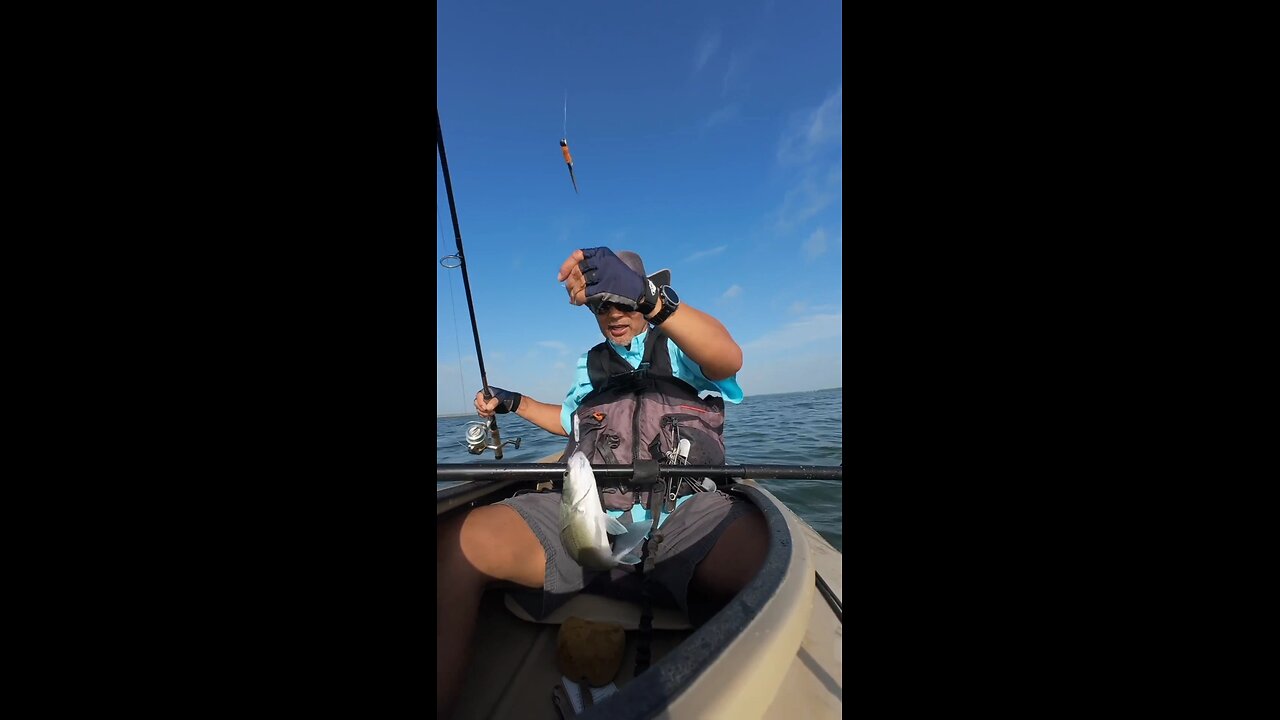 Slab and Jig Rigs and More!