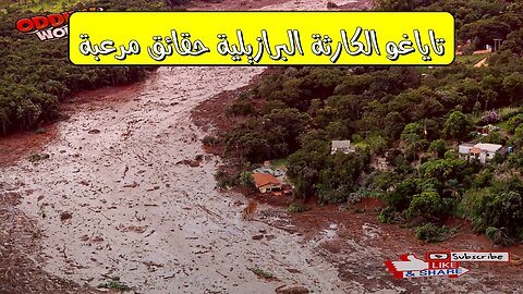 تاياغو: الكارثة البرازيلية.. حقائق مُرعبة #البرازيل #انهيار_سد #تاياغو