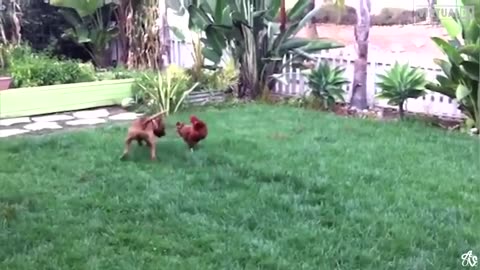 3Spirit Tv😳🙄🤣🤣❤️❤️❤️xxxx