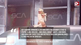 Sabrina Carpenter branded 'stupid and cruel' over Grammys bird stunt