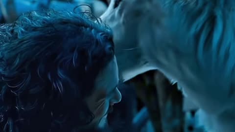 More Than a Wolf… More Than a Man — Jon & Ghost’s Silent Brotherhood