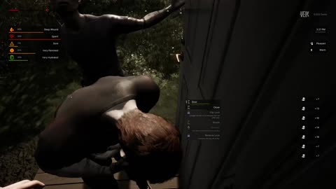 VEIN is (demo game) like 7 days to die