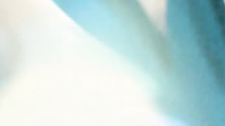 WAV - Late Winter Distorted Blaze