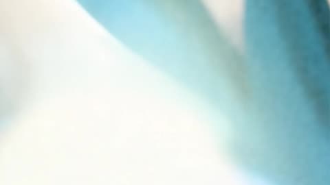 WAV - Late Winter Distorted Blaze