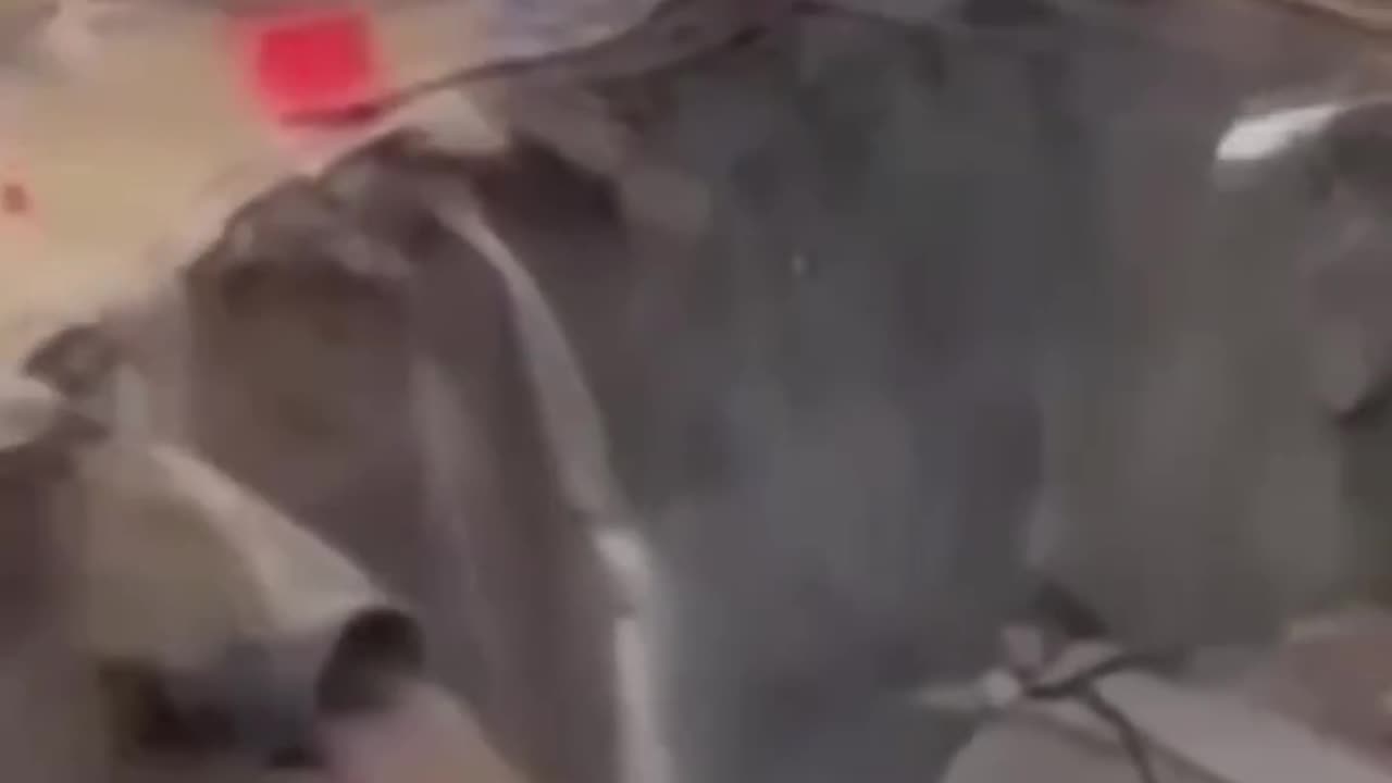 In Thailand's capital Bangkok, a large-scale road collapse occurred, burying parts of a busy street