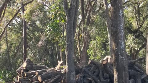 Daydreaming of owning a small house somewhere