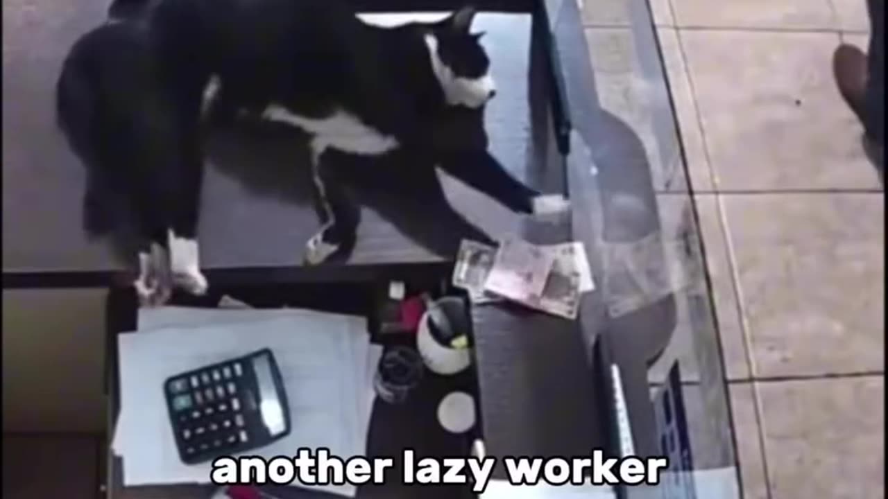 Another lazy worker