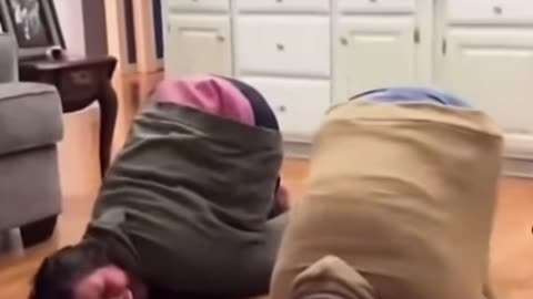 Funny videos