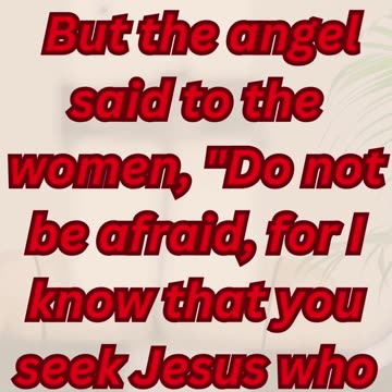 "He Is Risen!" Matthew 28:5,6.#shorts #youtube #ytshorts #reels #shortvideo #youtubeshorts #yt #love