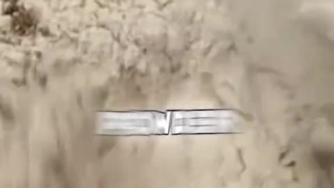 Make Natural Calcium Powder at Home for Strong Bones!