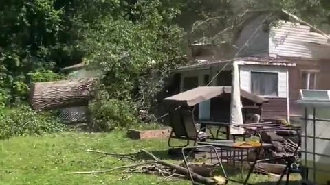 😂🌳 The Most Epic Tree Cutting Fail! | FunFM