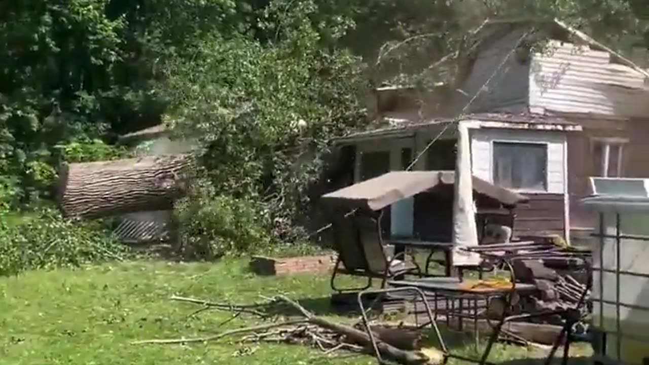 😂🌳 The Most Epic Tree Cutting Fail! | FunFM