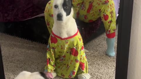 Dog Not Excited to Match Pajamas with Mom