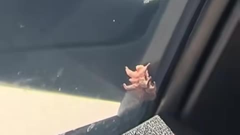 👻🕵️‍♀️ The Creepiest UFO Sighting You'll Ever See! | TheHauntingHour