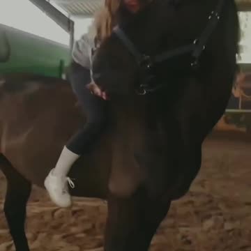 Kindness and Kicks: The Two Sides of Horses مهربانی و لگد: دو روی اسب‌ها
