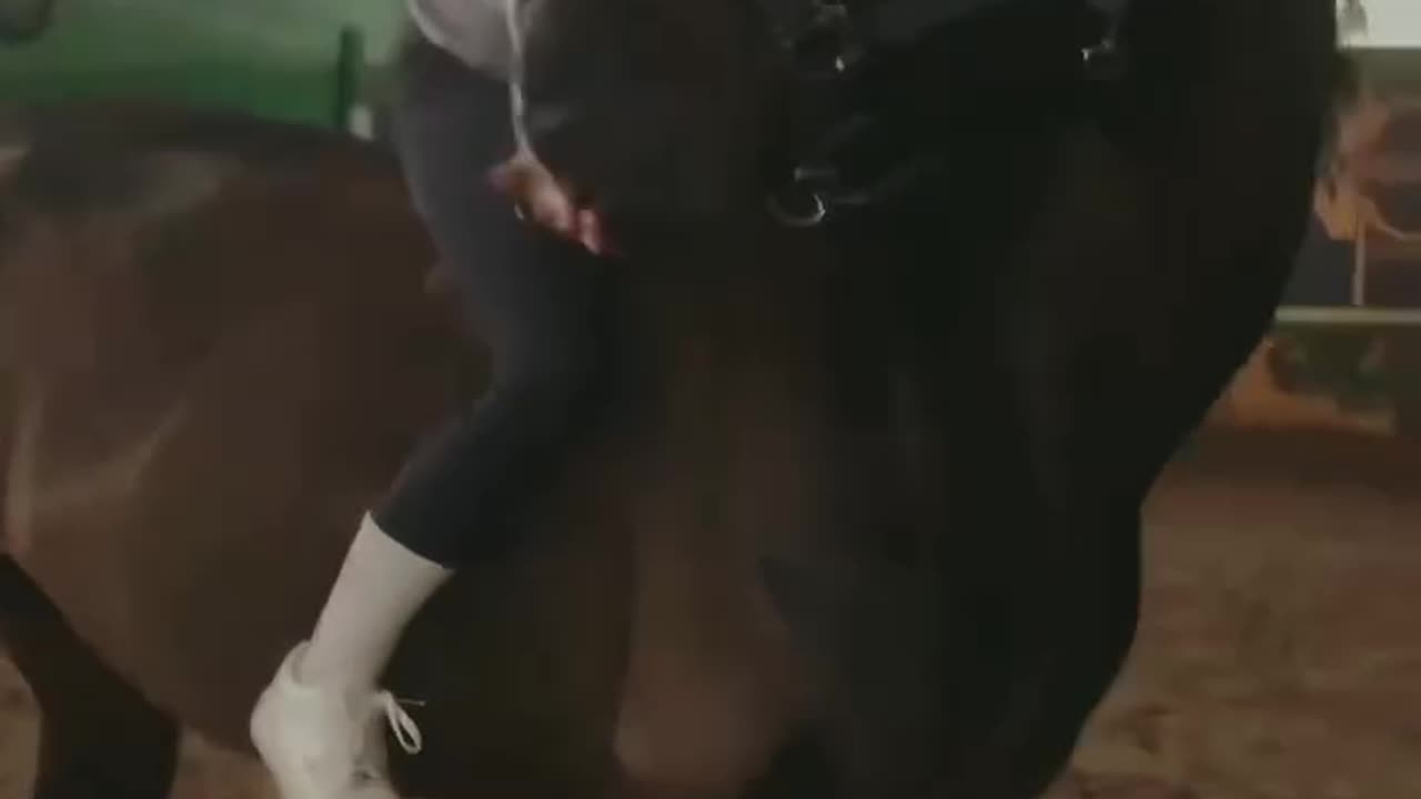 Kindness and Kicks: The Two Sides of Horses مهربانی و لگد: دو روی اسبها