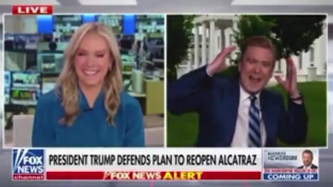 Reporter Gets Dive-Bombed By Bird On Live TV