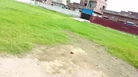 Faiting vilog 💪 🤣 and funny videos please like and Sher video