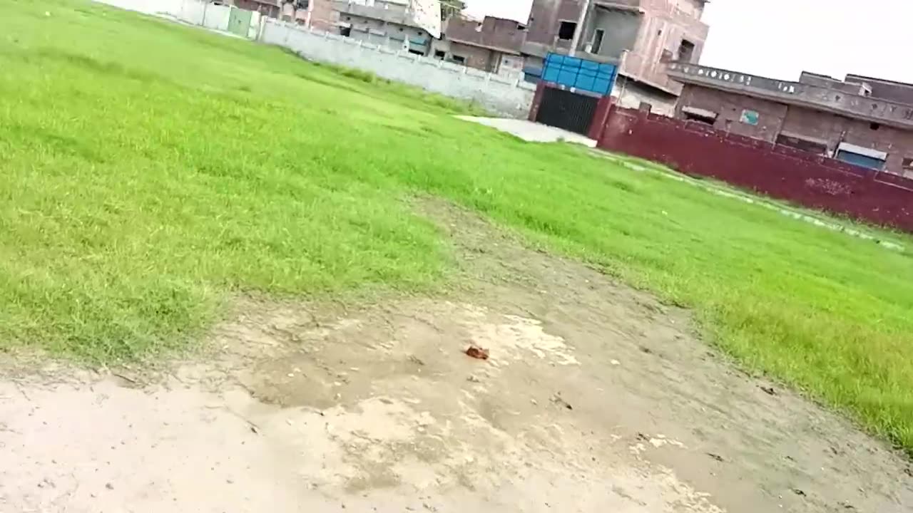 Faiting vilog 💪 🤣 and funny videos please like and Sher video