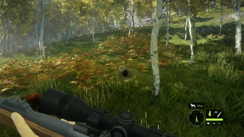 Hunter call of the wild Hirschfelden Hunting Reserve EP 1