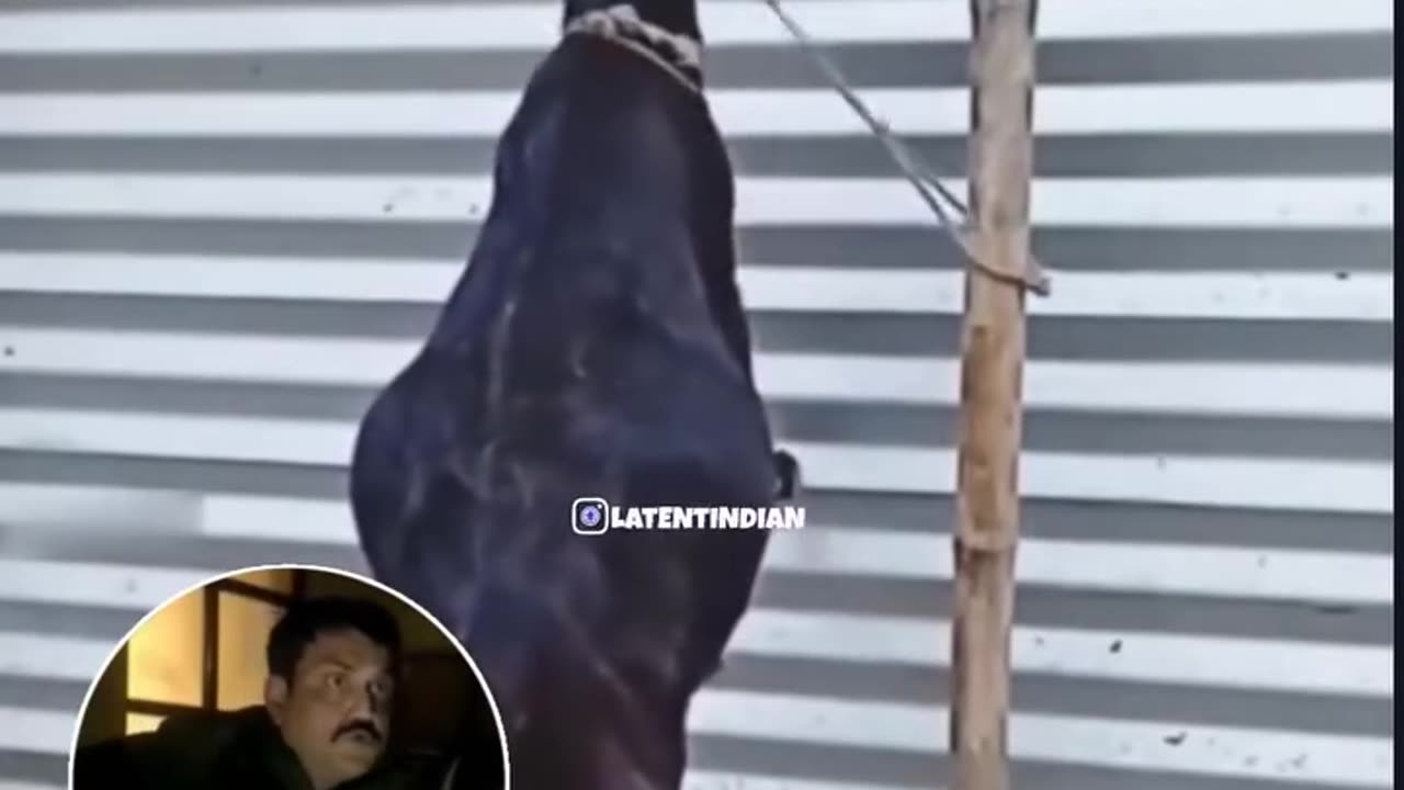 Funny video