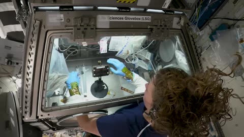 How Do We Do Research in Zero Gravity? We Asked a NASA Expert