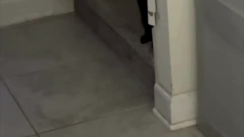 Secret Agent 00 Piper is Listening